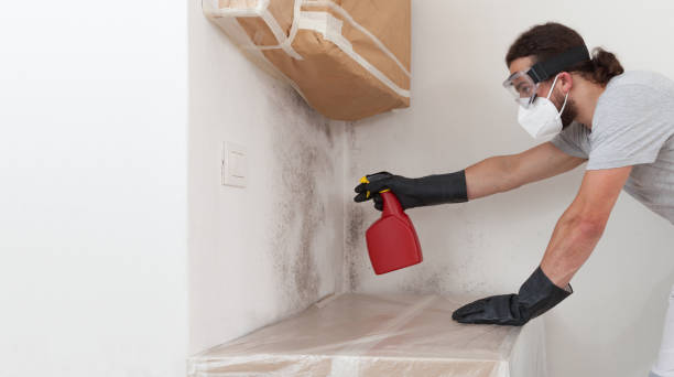 Professional Attic Mold Remediation technician working in Woodward, PA
