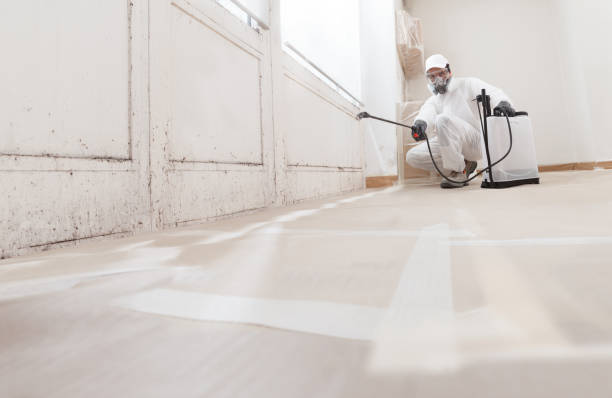 24/7 Emergency Attic Mold Remediation experts in Woodward, PA