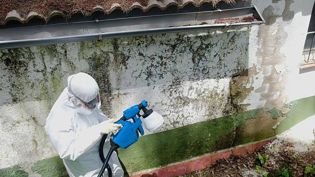 Top rated local Attic Mold Remediation specialists in Woodward, PA